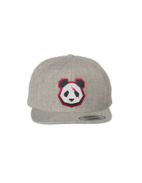 Fierce Snapback Hat (Heather Gray)