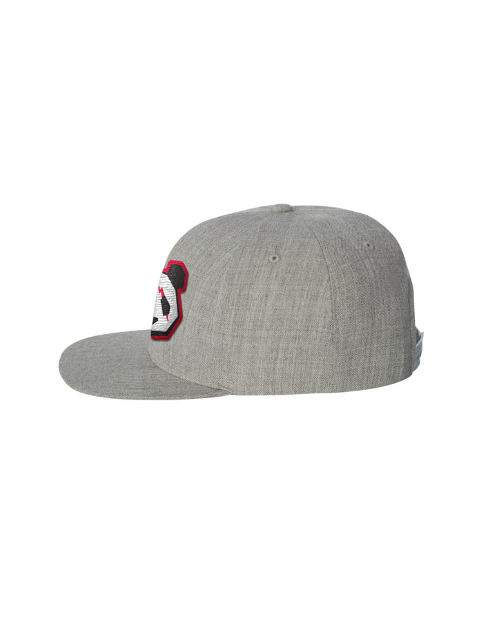 Fierce Snapback Hat (Heather Gray)